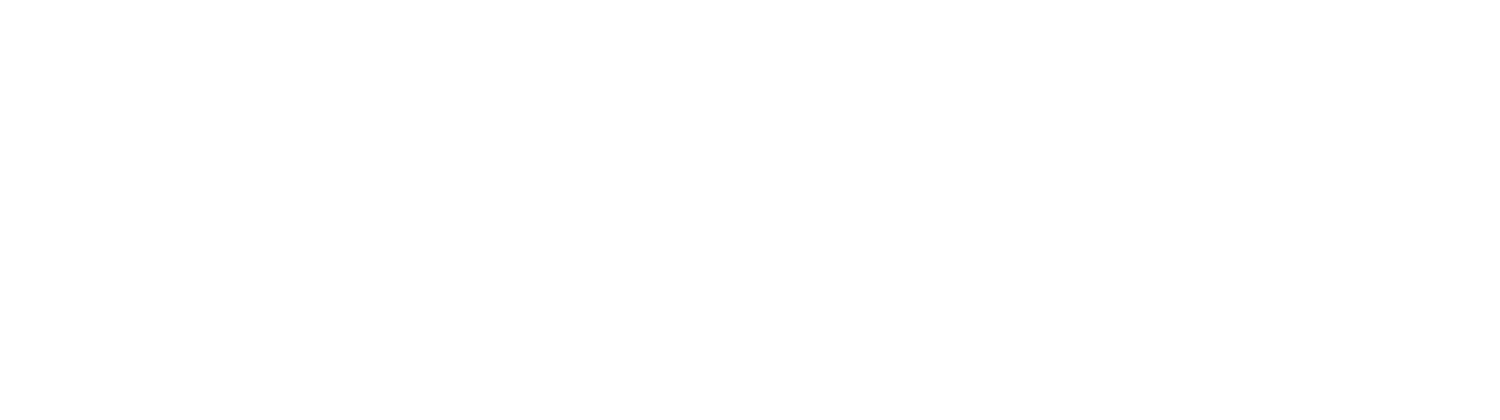 ADIP Logo